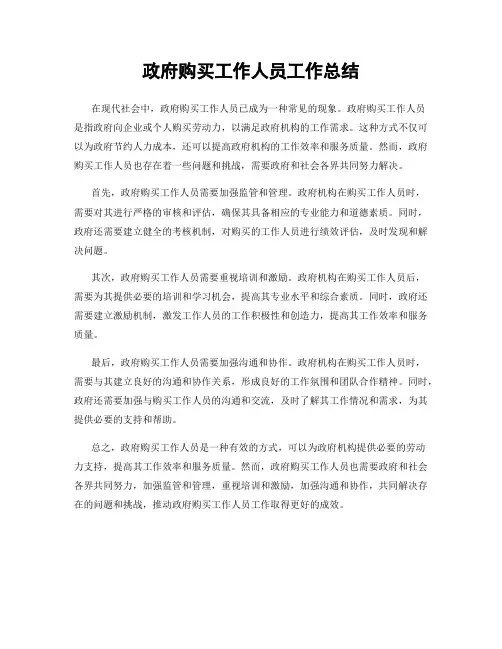 政府购买工作人员工作总结