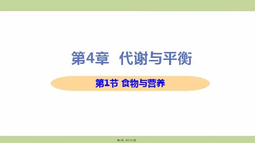 新浙教版九年级上册初中科学 第1节 食物与营养 教学课件