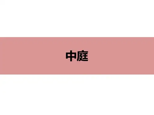 购物中心空间节点设计要领(中庭、通道、广场、屋顶空间、转角)