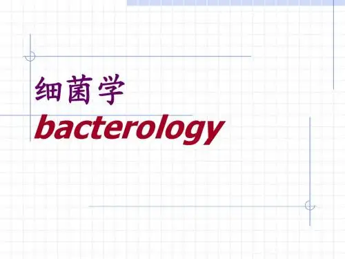细菌的形态与结构