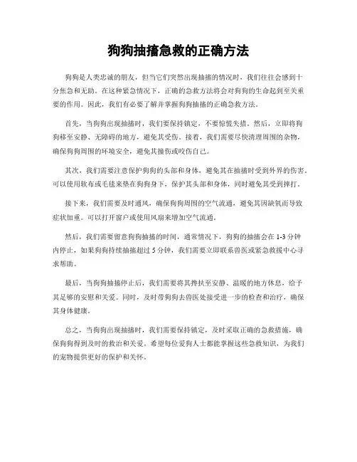 狗狗抽搐急救的正确方法