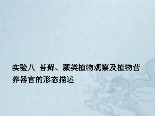 浙江大学2012植物学甲课件2012春夏植物学课件实验苔藓蕨类
