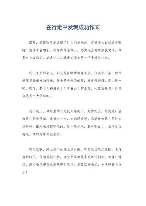 在行走中发现成功作文
