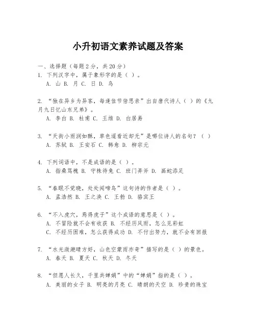 小升初语文素养试题及答案