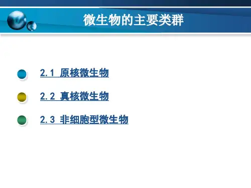 微生物的主要类群