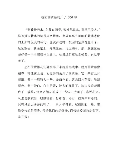 校园的紫藤花开了_500字