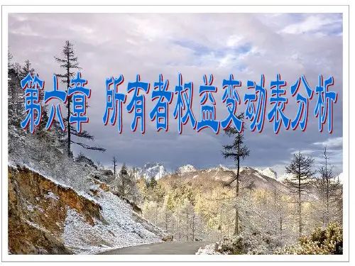 财务报表分析-所有者权益变动表分析