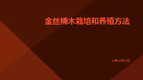 金丝楠木栽培和养殖方法
