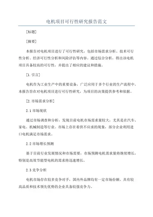 电机项目可行性研究报告范文