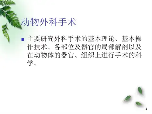 动物外科医学PPT课件