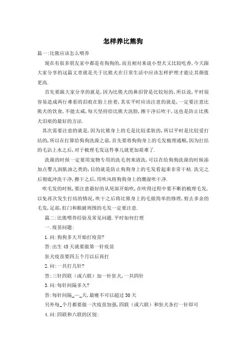 怎样养比熊狗