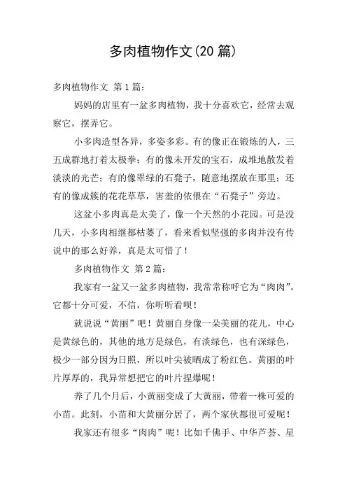 多肉植物作文(20篇)