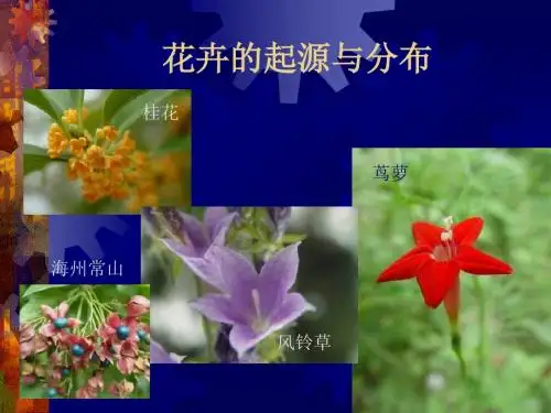 花卉的起源与分布