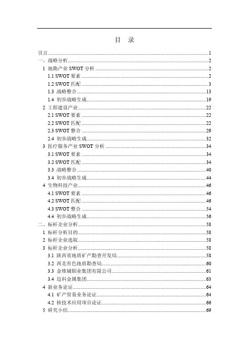 集团公司战略规划报告