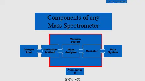 有机质谱原理及应用chap浙大刘子阳PPT课件