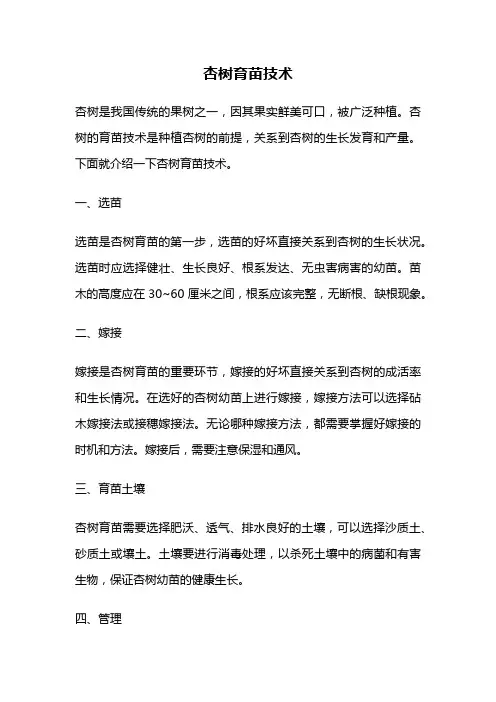杏树育苗技术