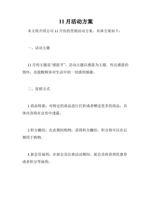 11月活动方案