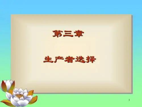 微观经济学第03章
