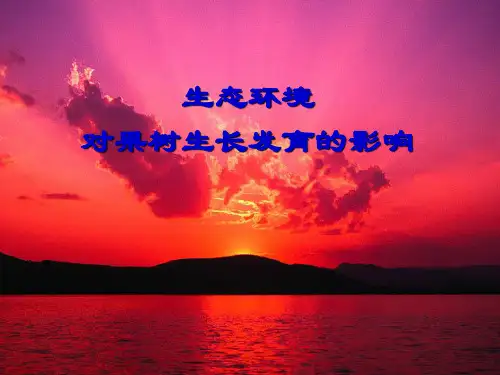 生态环境对果树生长发育的影响
