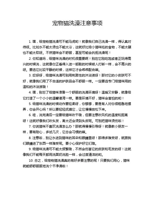 宠物猫洗澡注意事项