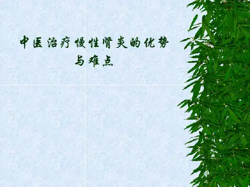 中医治疗慢性肾炎PPT课件
