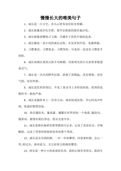 慢慢长大的唯美句子