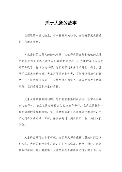 关于大象的故事