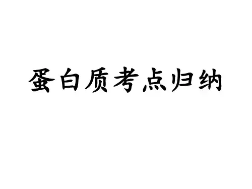 高中生物必修一第二章 2蛋白质考点归纳