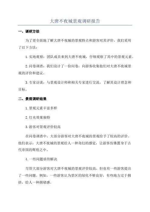 大唐不夜城景观调研报告