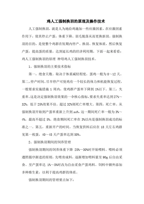 鸡人工强制换羽的原理及操作技术