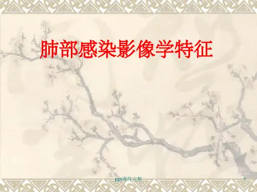 肺部感染影像学特征ppt课件