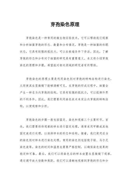 芽孢染色原理