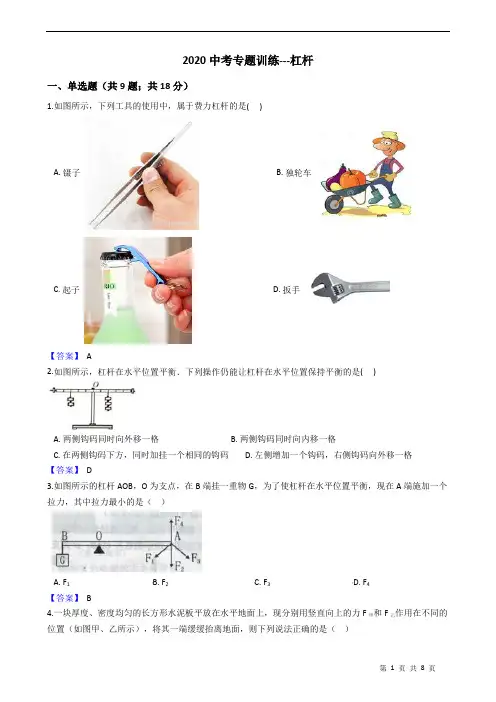 2020中考专题训练---杠杆 附答案教师版