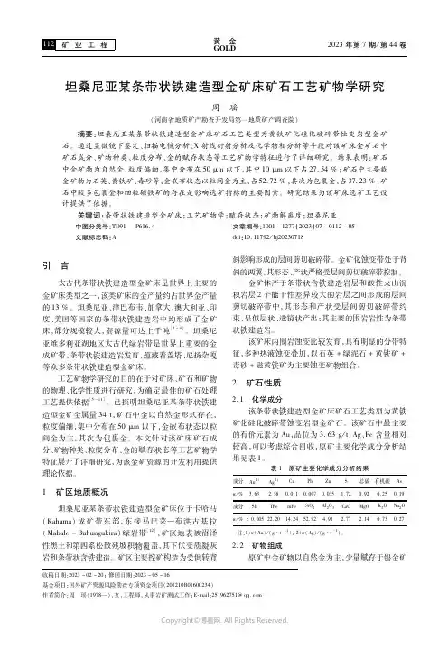 坦桑尼亚某条带状铁建造型金矿床矿石工艺矿物学研究