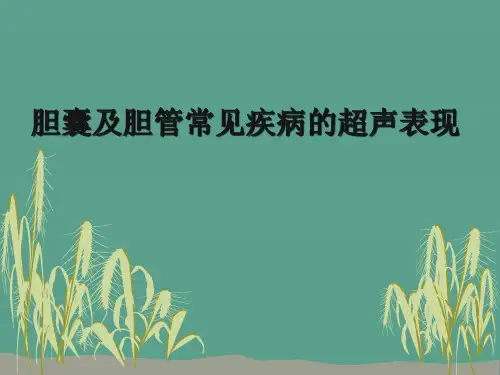 胆囊及胆管常见疾 ppt课件