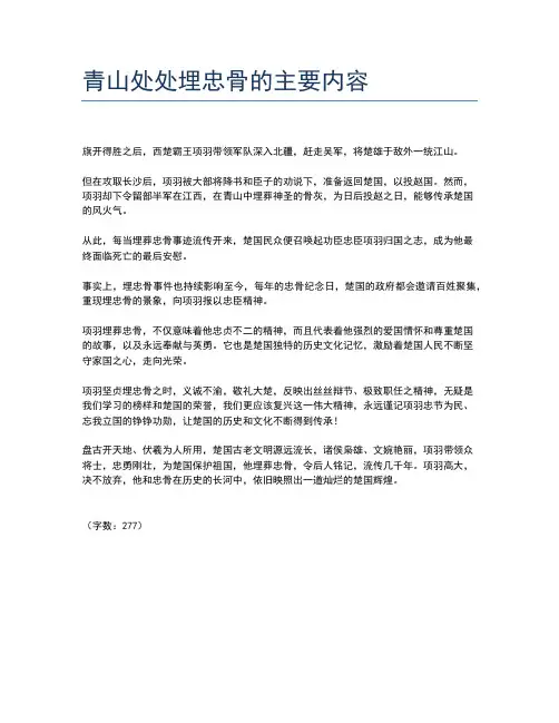 青山处处埋忠骨的主要内容