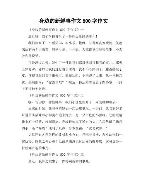 身边的新鲜事作文500字作文