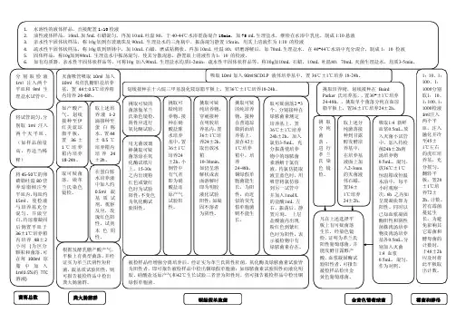 化妆品微生物检测流程