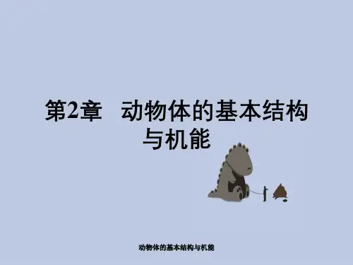 动物体的基本结构与机能