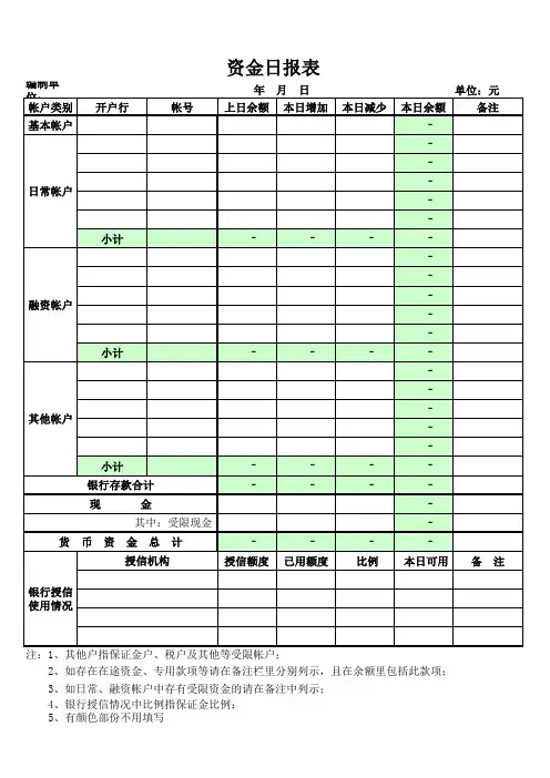资金日报表样式