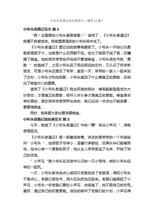 小布头奇遇记读后感范文（通用14篇）