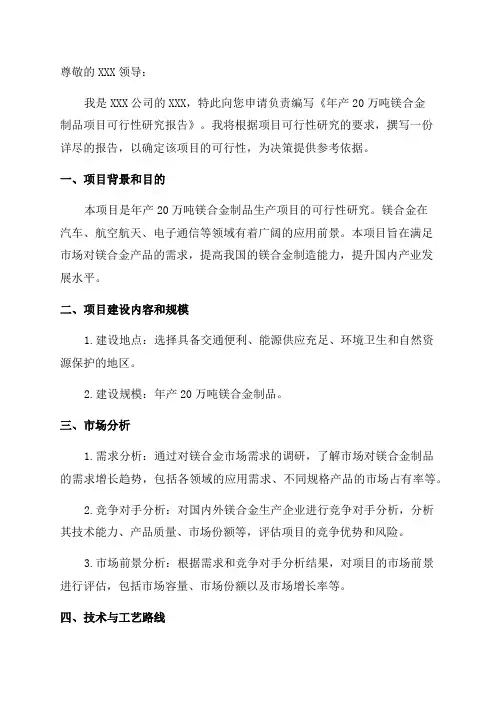 年产20万吨镁合金制品项目可行性研究报告申请报告