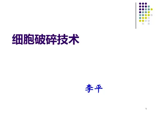 (12)细胞破碎