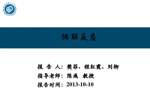偶联反应ppt--总合
