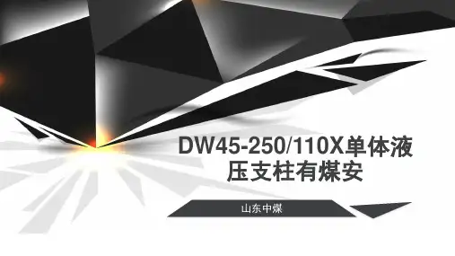 DW45-250-110X单体液压支柱有煤安