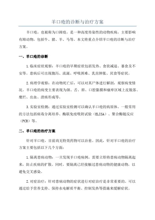 羊口疮的诊断与治疗方案