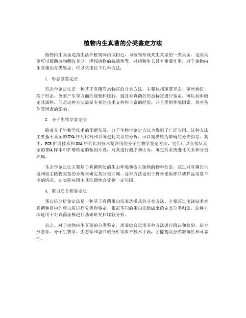 植物内生真菌的分类鉴定方法