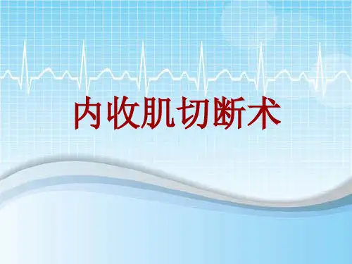 手术讲解模板：内收肌切断术