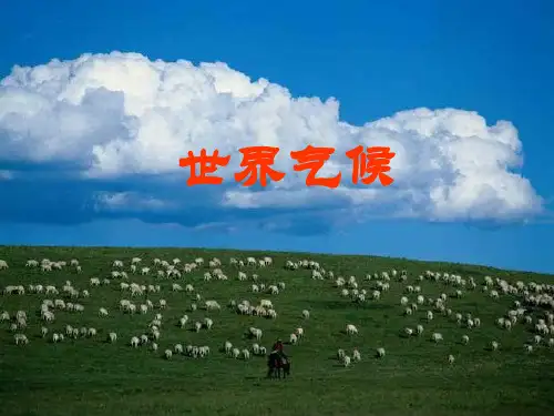 世界气候—气温分析