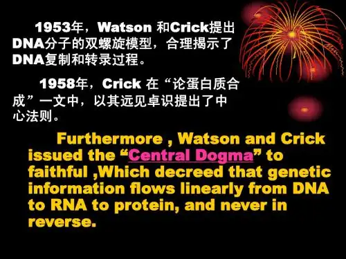 分子生物学课件5.DNA复制